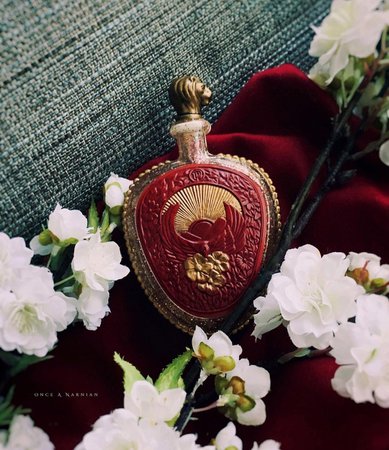 The Chronicles of Narnia en Instagram: “Thanks to Georgie’s insight on Prop Culture, we now know that the juice of the fireflower is... Strawberry flavored 🍓😝…”