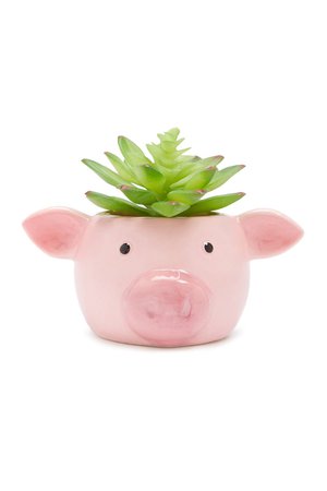 Pig Face Potted Faux Succulent | Forever 21