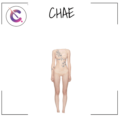 CHAE Template