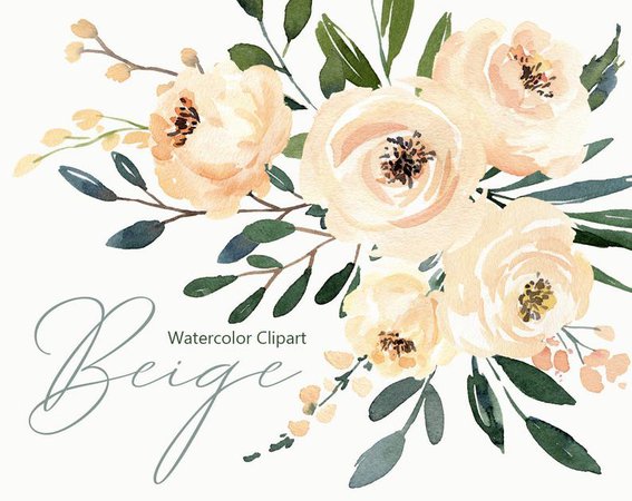 Watercolor Floral Clipart Beige Cream Light Creamy Flowers | Etsy