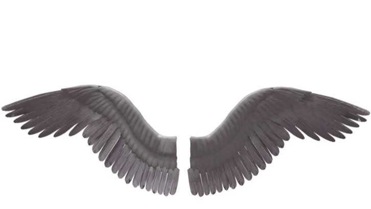 grey angel wings