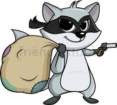 raccoon robber - Google Search