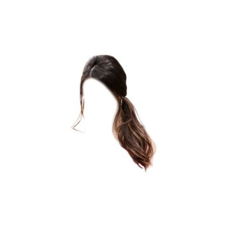 brown hair ponytail png