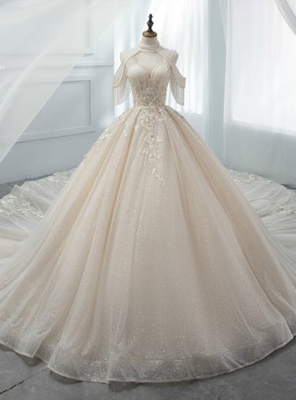 Champagne Ball Gown V-neck Tulle Sequins Appliques Backless Wedding Dress