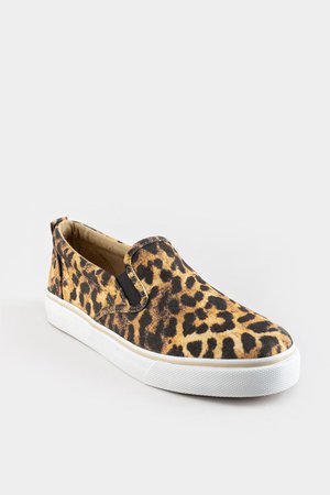 SUGAR Flicker Leopard Slip On Sneaker | francesca's