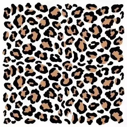 leopard print png - Google Search