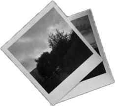 polaroid pictures