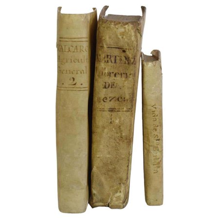 Nice Collection of 18th Century Weathered Spanish Vellum Books For Sale at 1stDibs