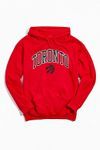 Toronto Raptors Arch Script Hoodie Sweatshirt | Urban Outfitters