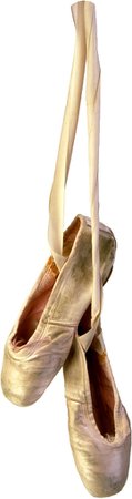 pointe shoes hanging - Google Search