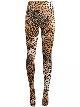 Roberto Cavalli leopard-print Leggings