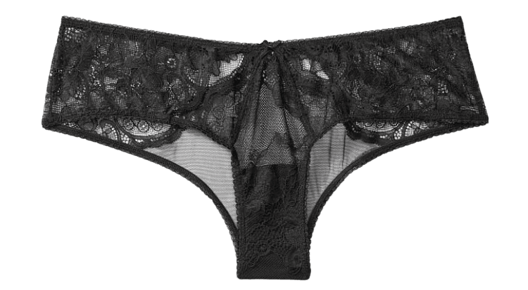 VERY SEXY Lace & Mesh Cheeky Panty black