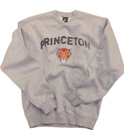 Princeton sweatshirt