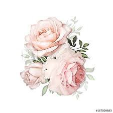 watercolor flower pink - Google Search