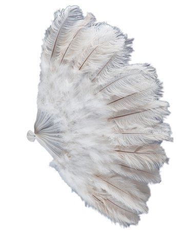 white feather fan no background - Google Search