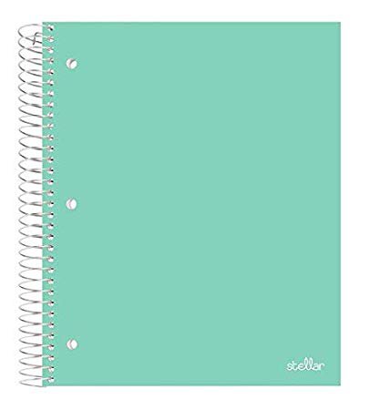 mint notebook