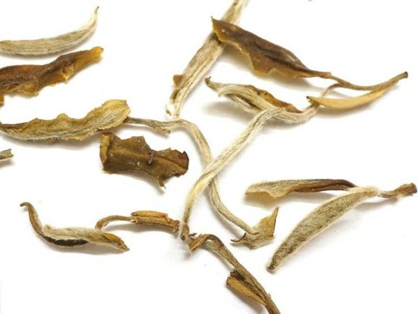 Aged Snowbud White Tea. All Natural Gourmet Loose Leaf White | Etsy