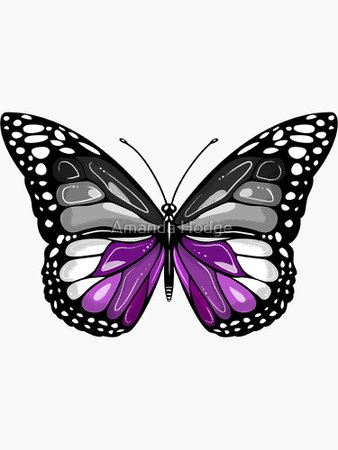 "Asexual Butterfly" Sticker by amandahodge | Redbubble