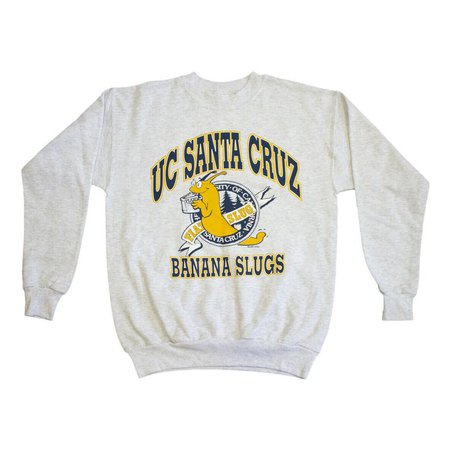UC Santa Cruz Banana Slugs Sweatshirt Vintage Varsity Sports | Etsy
