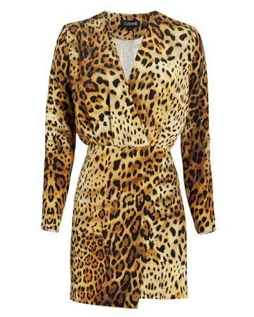 Leopard Print Silk Mini Dress