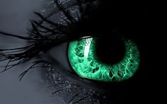 (604) Pinterest vivid green eyes