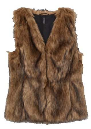 H&M Faux Fur Vest