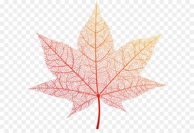 Autumn Pattern Background png download - 6000*5592 - Free Transparent Leaf png Download. - CleanPNG / KissPNG