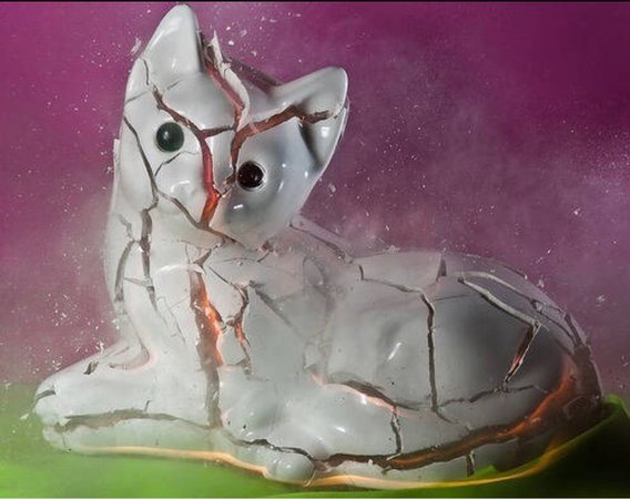 porcelain cracked cat