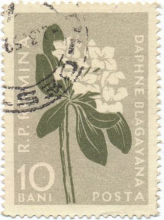 Vintage Stamp