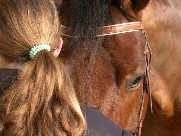 horse girl ponytail