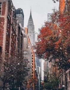 Fall NYC