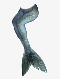 siren tails - Google Search