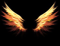 fire wings - Google Search