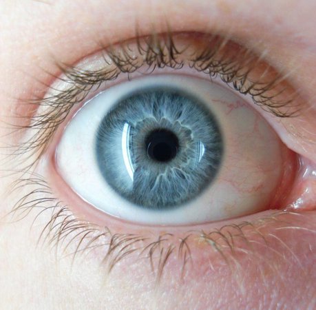 grey blue eyes
