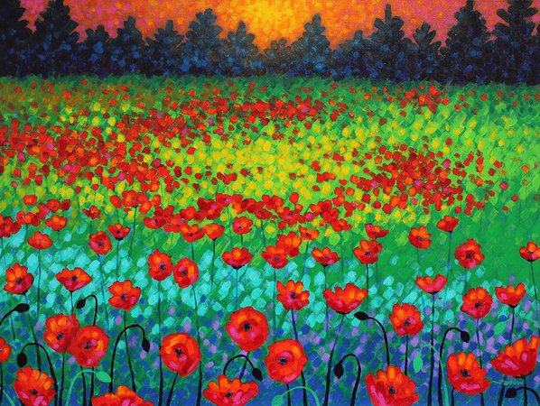 Evening Poppies Painting by John Nolan | Fine Art America