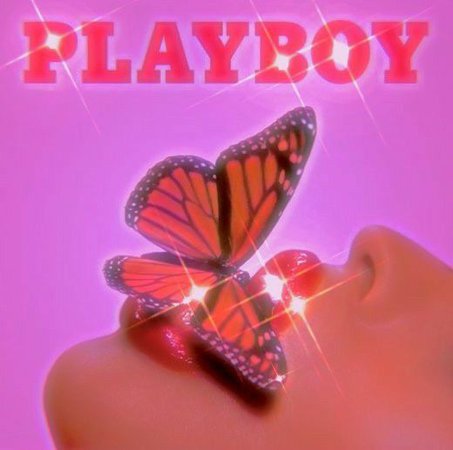 Playboy disco record retro vintage 90s 80s tumblr aesthetic pink purple 2000s butterfly y2k