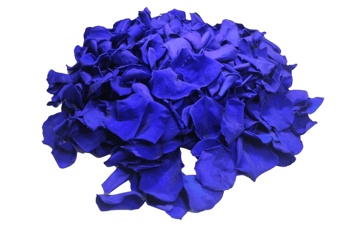 Royal Blue Rose Petals for weddings, royal blue preserved rose petals - wedding confetti, decoration, biodegradable 300g