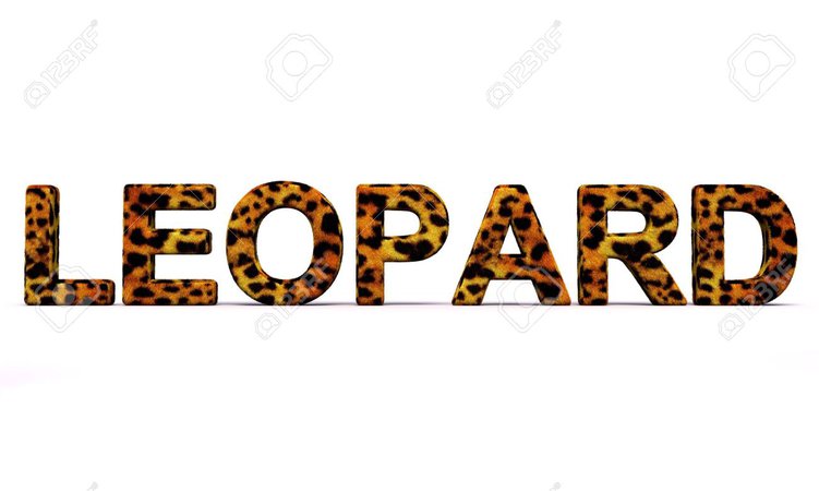 leopard word - Google Search