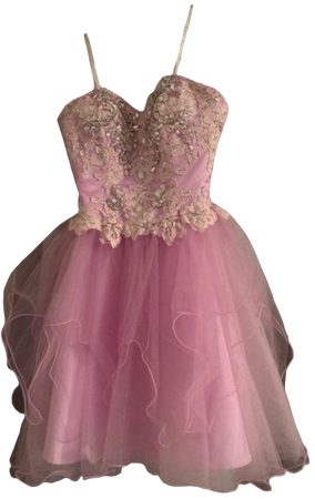 pink fairy princess homecoming dress