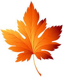 fall leaf clip art - Google Search