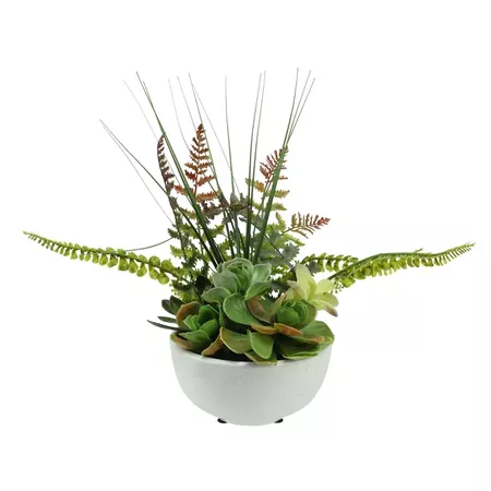 Northlight 11.5" Mixed Succulent And Fern Artificial Potted Plant - Green/White : Target