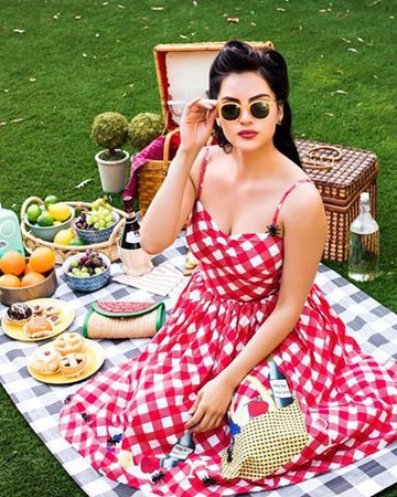 vintage 1950s picnic photo - Google Search