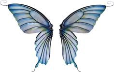 Pinterest (Pin) (29) wings
