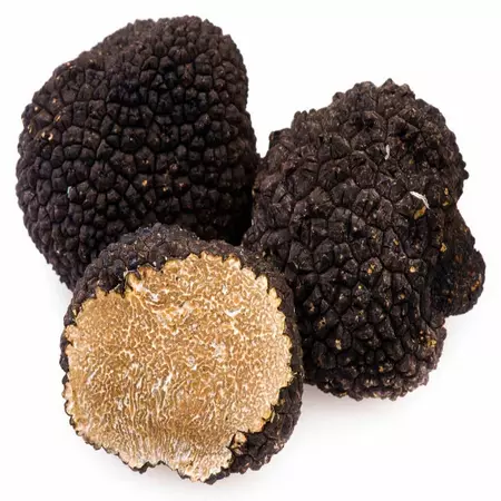 Jual Black Truffle Mushroom