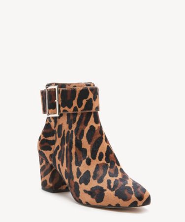 Sole Society Palan Buckle Bootie | Sole Society Shoes, Bags and Accessories