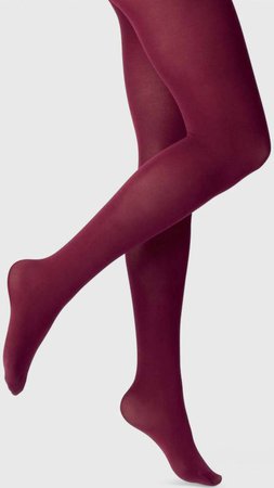 burgundy tights