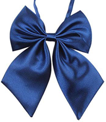 Amazon.com: Creazy Fashion Unique Womens Girls Novelty BIG Bow Tie Wedding Gift (Dark Blue): Pet Supplies