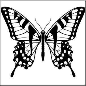 png butterfly black