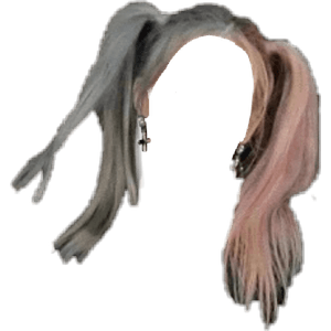 pink & blue hair pigtails png