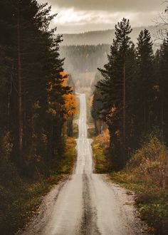 Pinterest - Country Roads